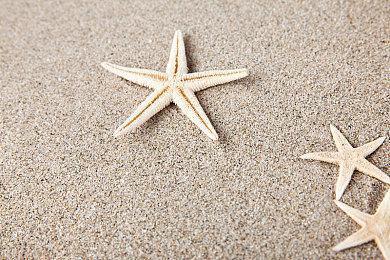 《蟹蟹寻宝奇遇》年度重磅更新“蟹年大吉”4月22日上线